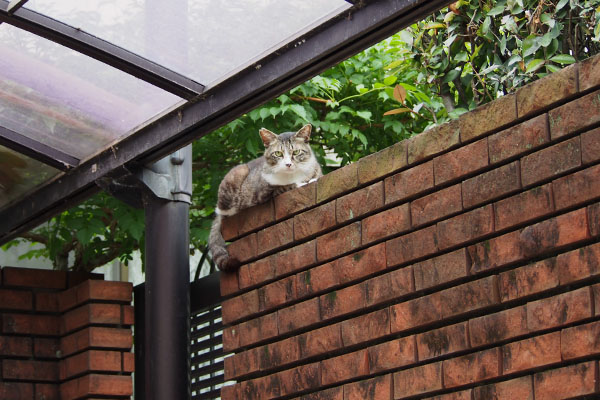 アシメ　発見