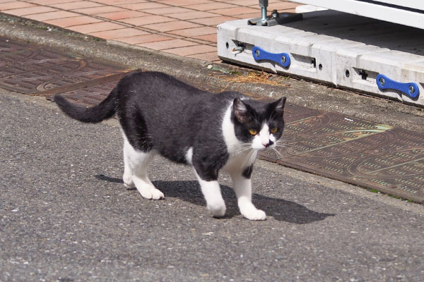 まこ　足取り軽く