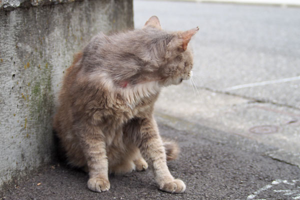 グリ　食べたしあっちに行くにゃ