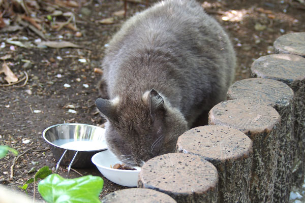 オット　気にせず食べてる