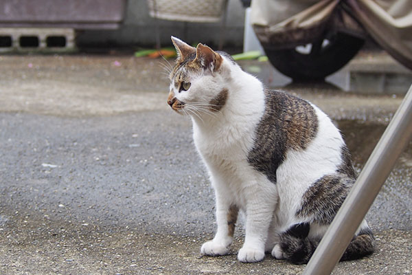 セイ　誰かを待っているのか