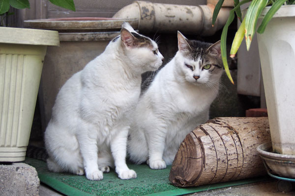 ムチムチなふたり　ケイとオーロラ