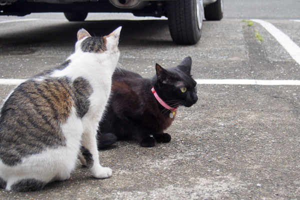 セイとモノタ　動きなし