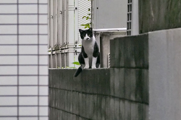 まこ　食べ終わり戻ってきた