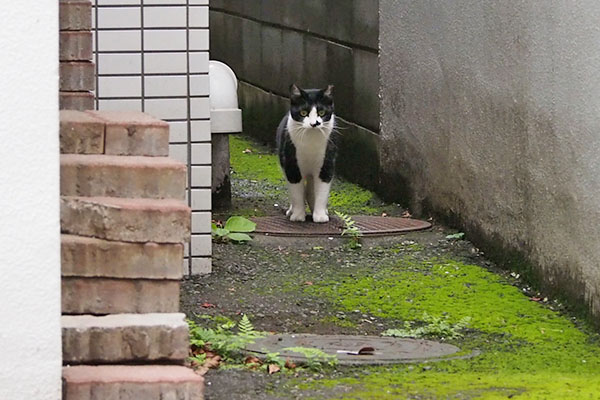 まこ　再び取りに