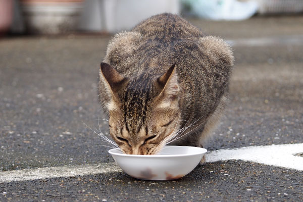 らい太　食べる