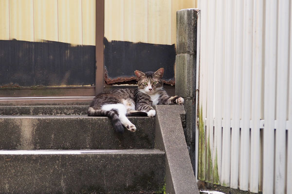 アシメ　階段の上