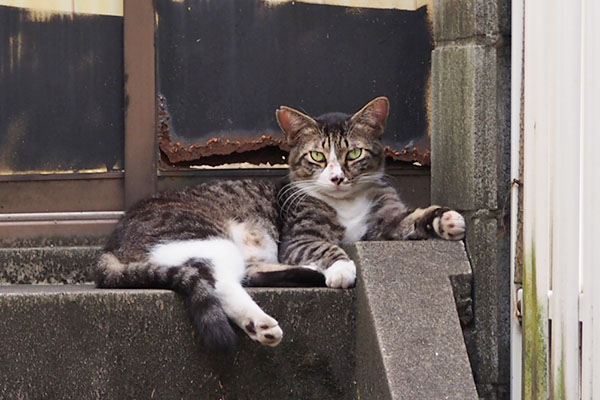 アシメ　相談待ち