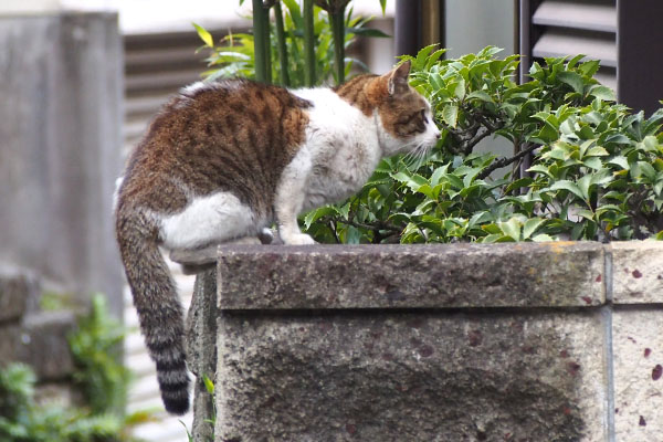 新参君　窓の奥を見てる