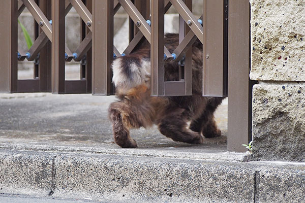 タッチー　一旦退避