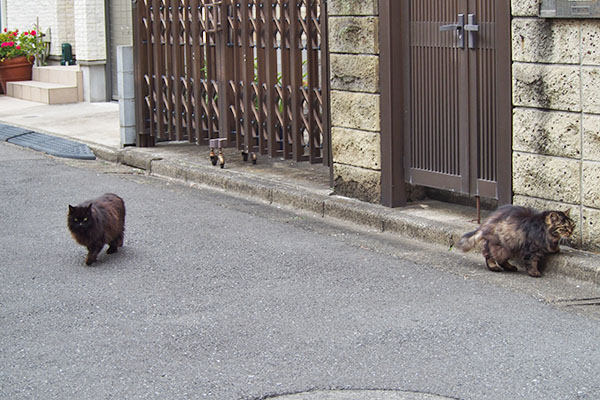 ハリマとタッチー　ツーショ