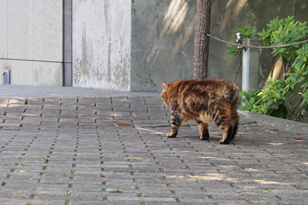 クラタン　階段のある方へ