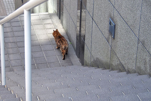 クラタン　階段　光の前