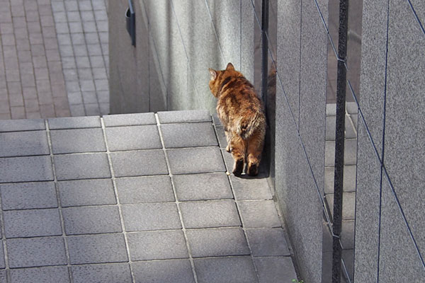 クラタン　階段　光の中へ