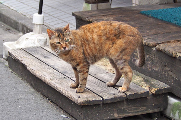 ヴェルデ　待ち人の来る方向