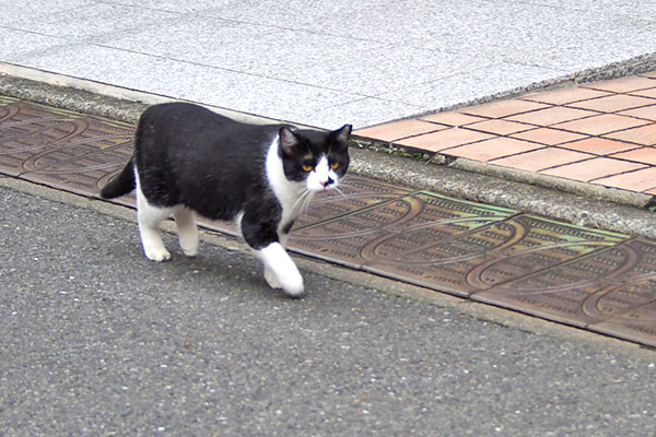 まこ　ママを見てる