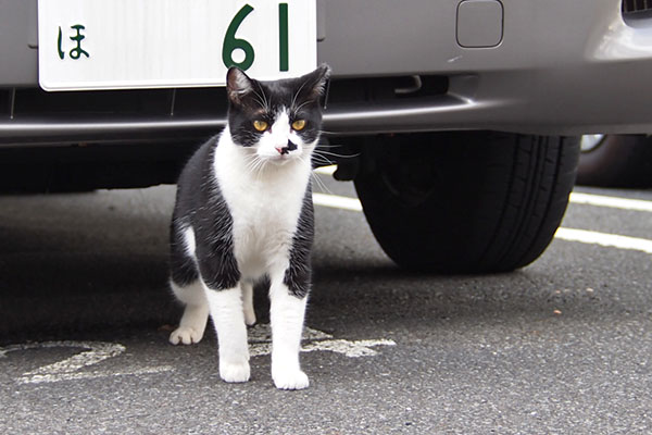 まこ　車の下から出て