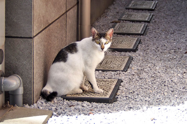 しろまる　別れ際