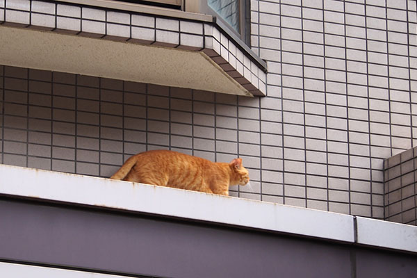 つぶ　右へ移動