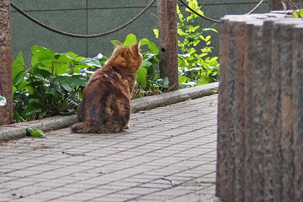 クラタン　待ってる