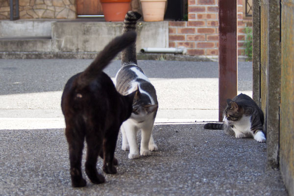 セイモノタに挨拶