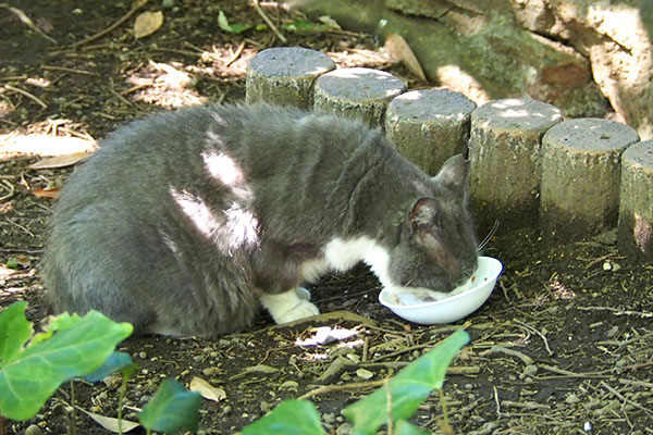 食べてるオット