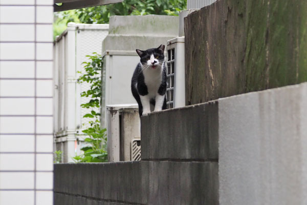 奥で食べて叫ぶ　まこ