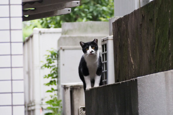 見てる　まこ