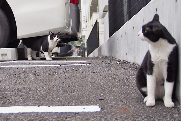 まこ　また何か言ってる