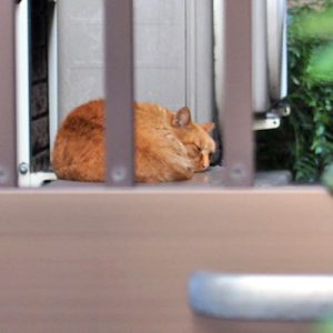 po take a nap