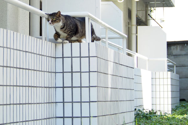 手すりを潜る　アシメ