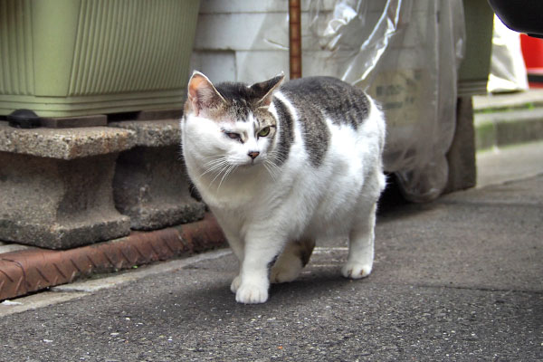 ケイ　歩行者を確認