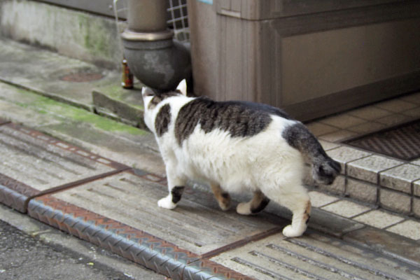 娘が居る場所を見る　ケイ