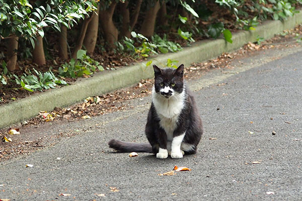 お座りブッチ