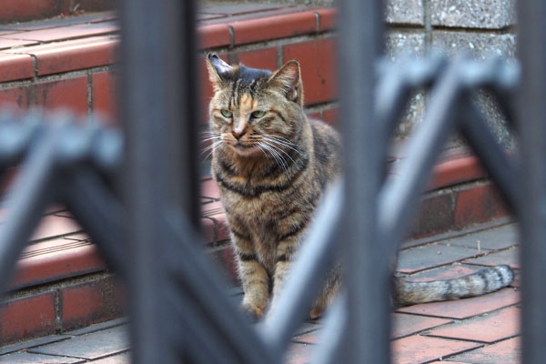 saki sitting in front of steps