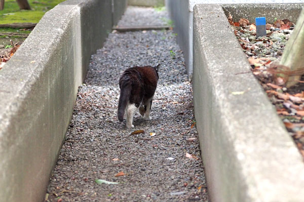 ポチ　早々に帰って行く