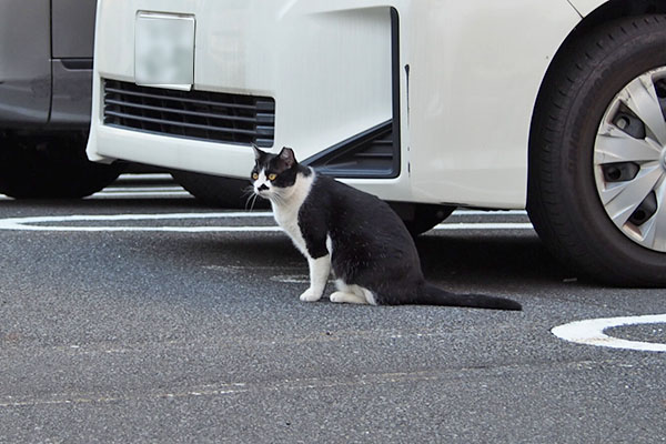 まこ　見ている