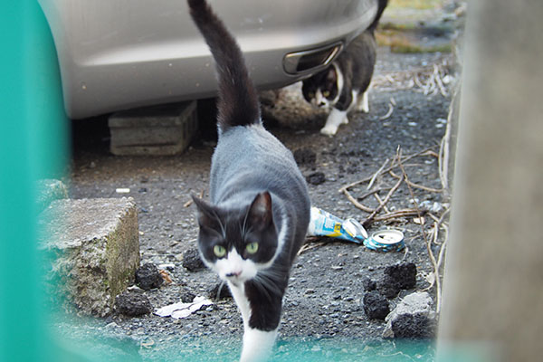 こまちの後ろにまこ