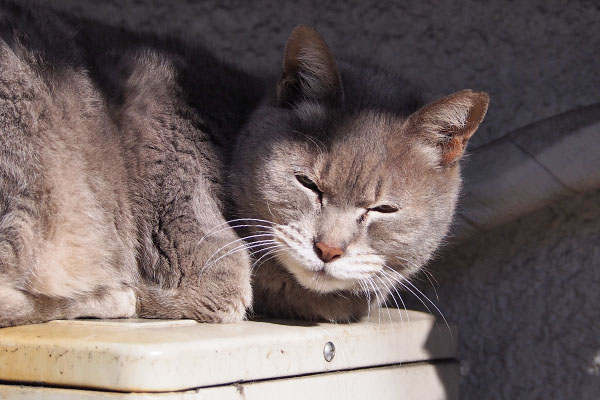 目ほそーく　シピ