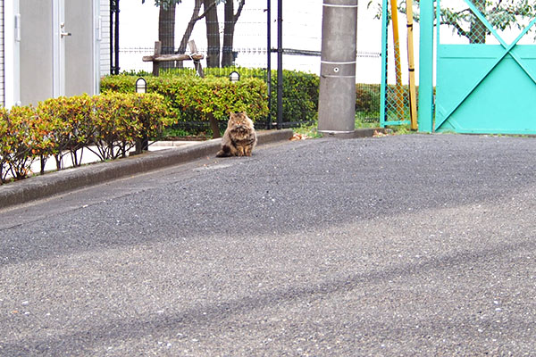 くり坊　遠い