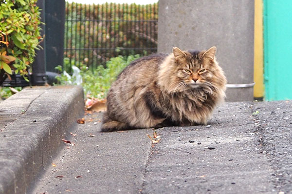 くり坊　しゃがむ