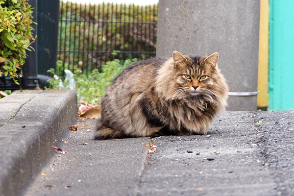 くり坊　いなくなれと念を送る