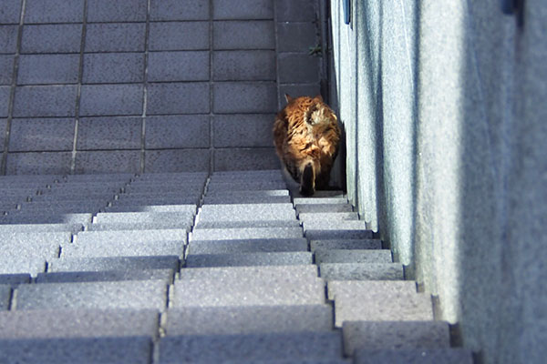 さらばにゃ　クラタン