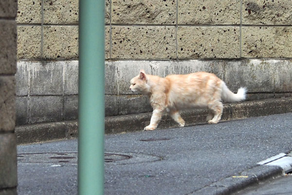 そろそろ到着　ナリコマ