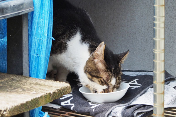 別日　食べるオンブレ