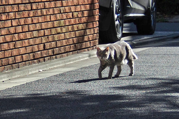 とにかく進む　グリ