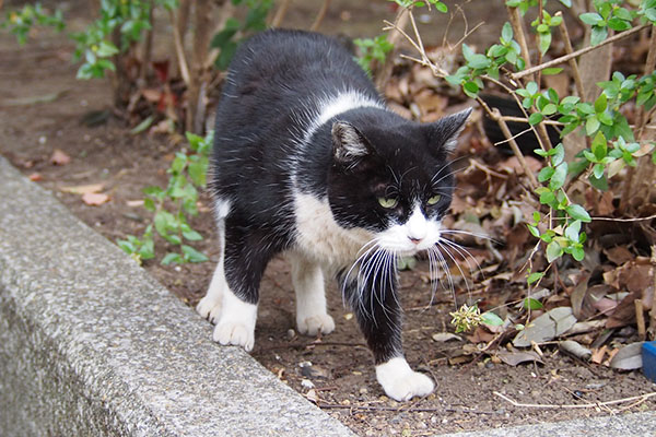 ポチ　少し押す