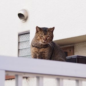 abi sitting on wall