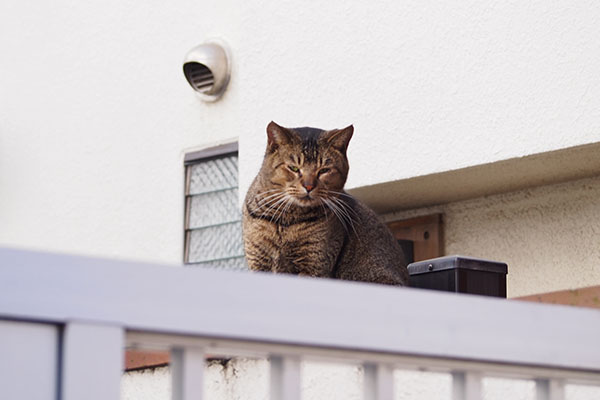 abi sitting on wall