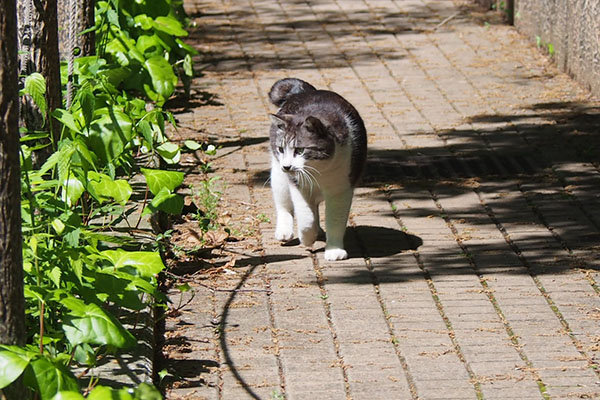 タンタル　何か見つけた